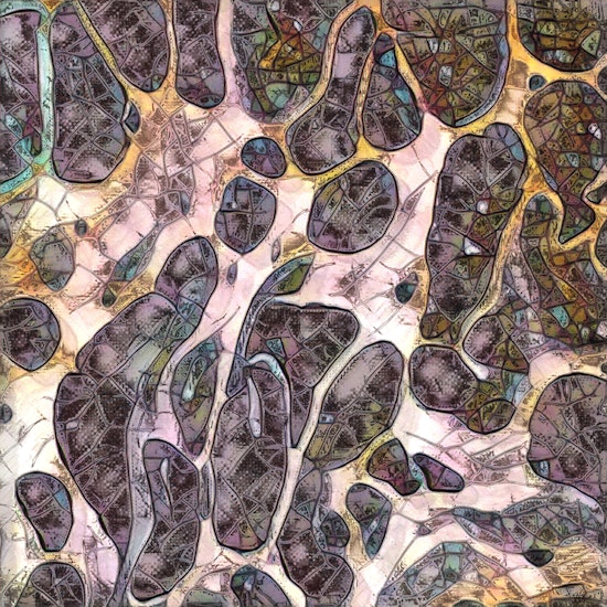 Leaded Biology