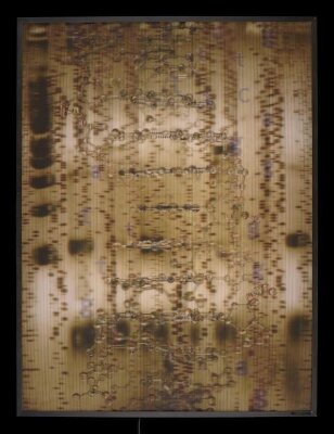 Cryptobiology: Reconstructing Identity — artwork