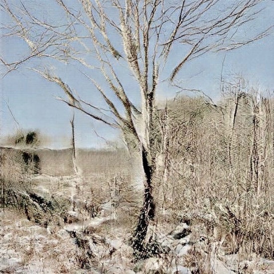 Learning Nature (b60a,3641,3)