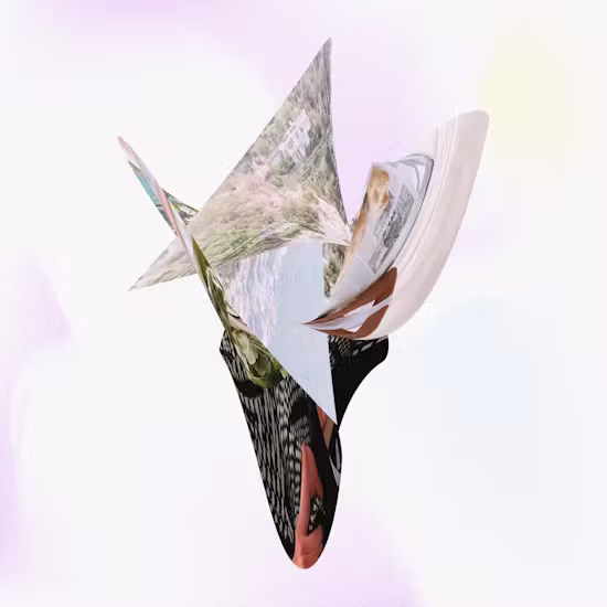 Hyperflower—Lily
