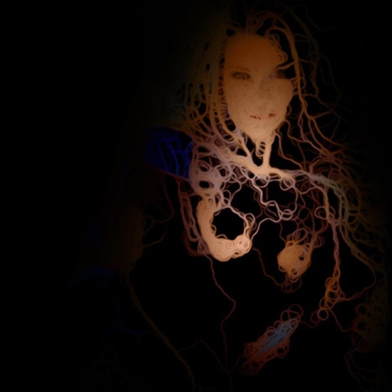 ModelAnatomy — artwork