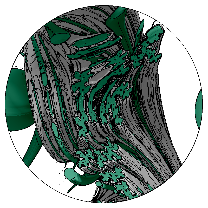 LL21 Anatomy