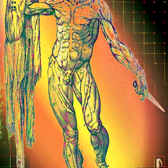 Science of Anatomy