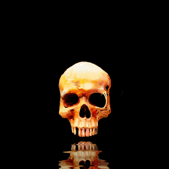 SkullRose
