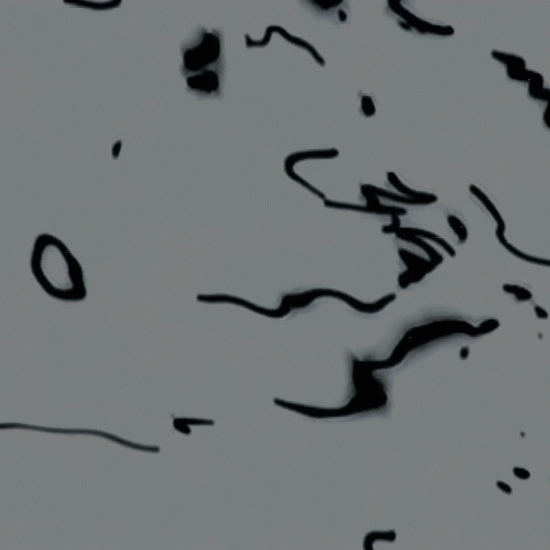 Cerebral Scribble