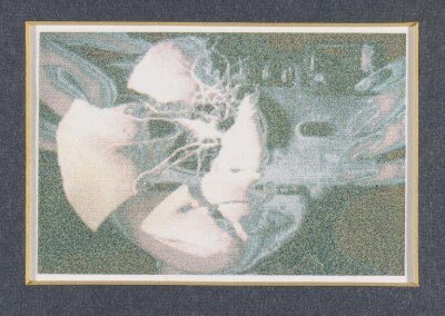Fractured Face
