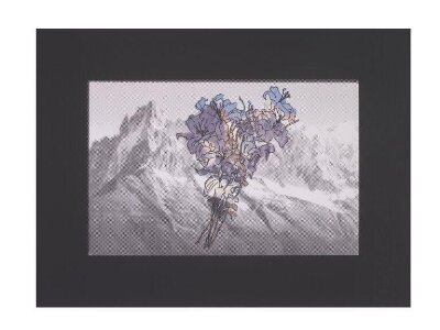 Border 1 — artwork