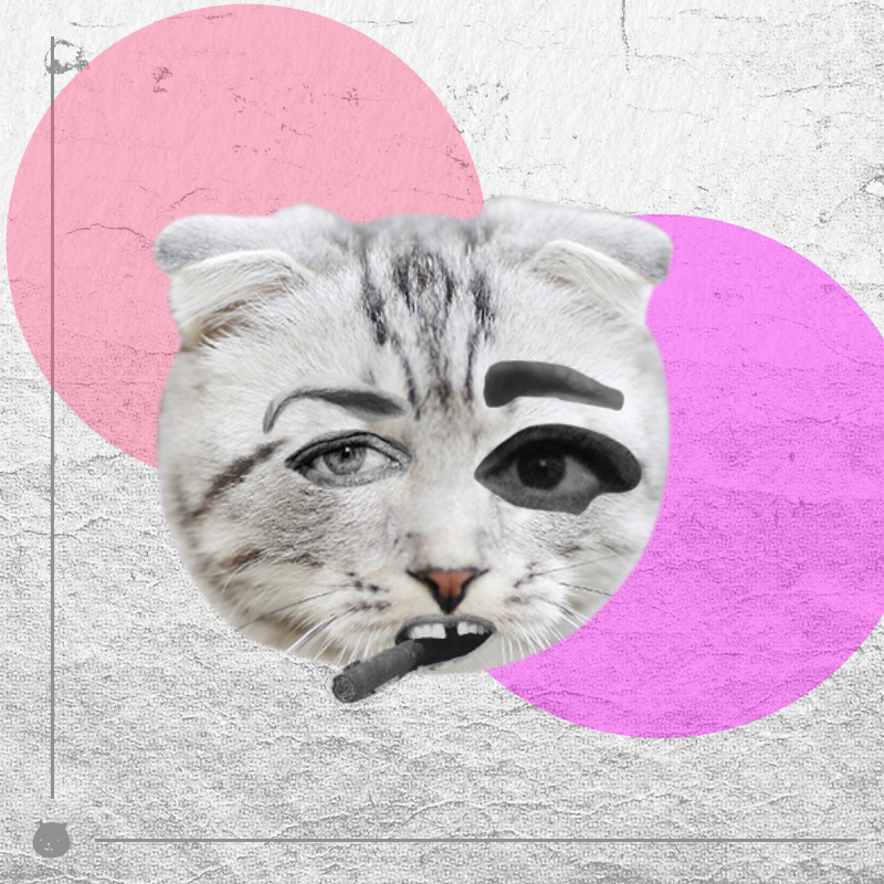 Kittenstein — artwork