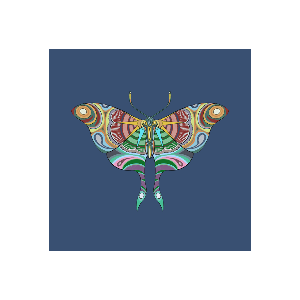 The Moth Experiment