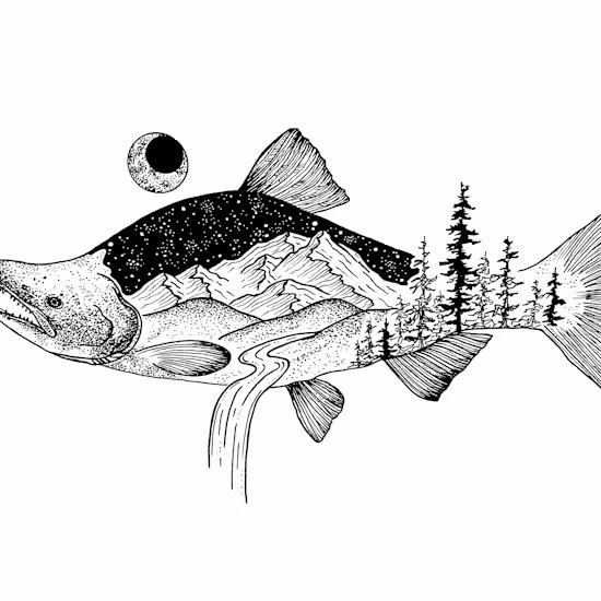 Sockeye