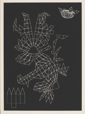 Tortoise Unfold