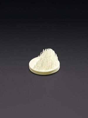 3D printed prototype for ring, 2017-2021