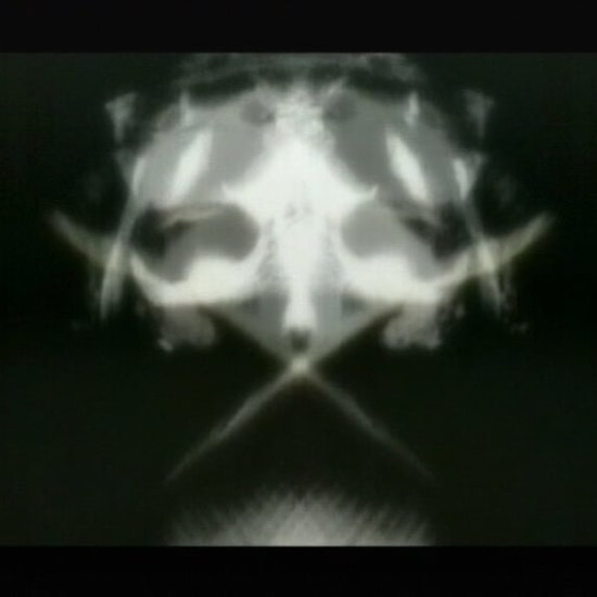 fish sKull 1