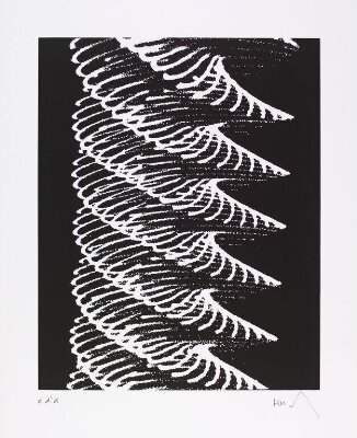 Analog-Grafik P1 (Pendular Oscillogram) — artwork
