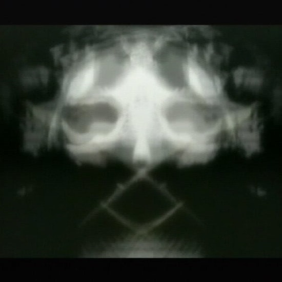 fish sKull 2 — artwork