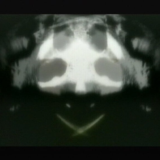 fish sKull 3