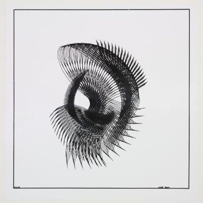 Nautilus
