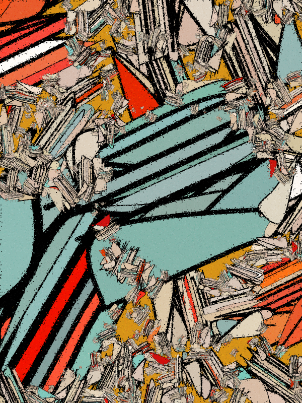 Lepidoptera — artwork