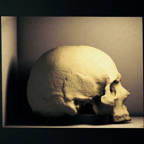 A single skull (a relic).