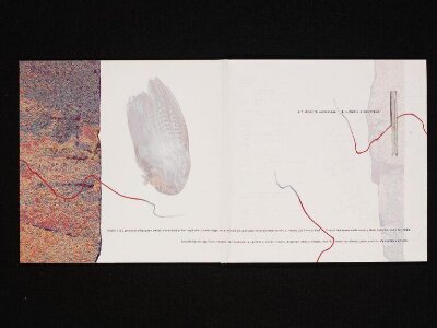 Untitled — artwork