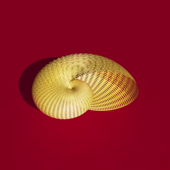 Argonauta 1 — artwork