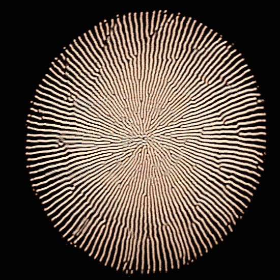 Beyond the eye of Satoshi Etherium was born