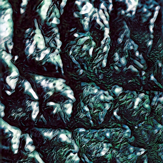 Cellscape 19